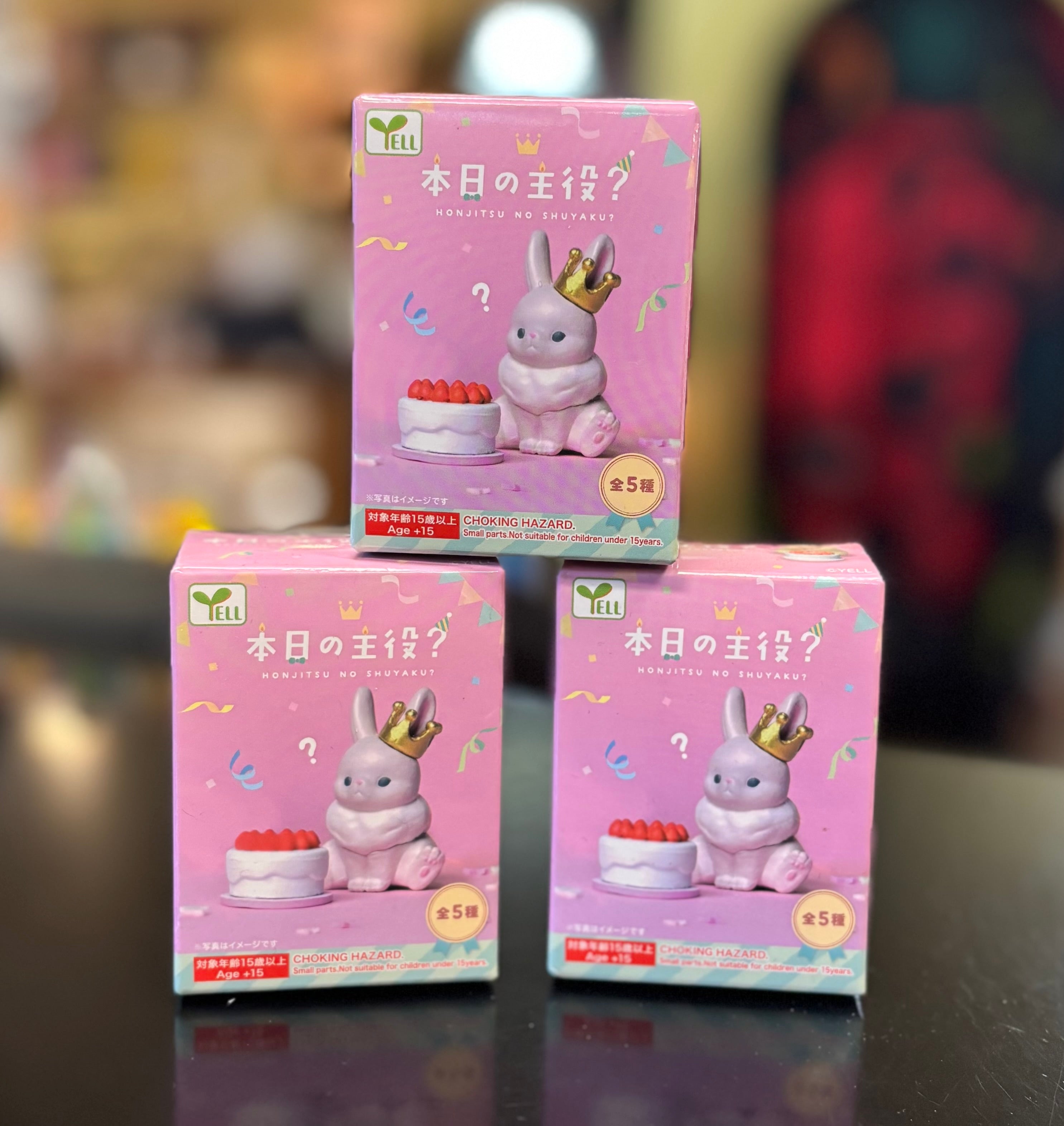 Honjitsu No Shuyaku? Blind Box